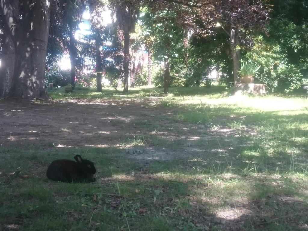 Hotel Le Mas Fleuri Vernet-les-Bains Zewnętrze zdjęcie